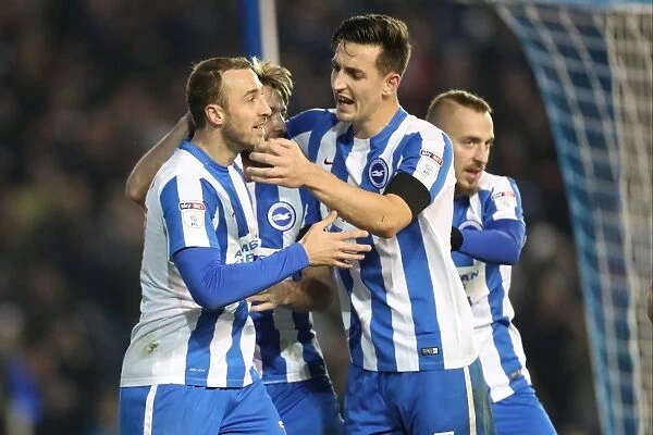 Brighton and Hove Albion vs. Fulham: A Battle in the EFL Sky Bet Championship (November 2016)