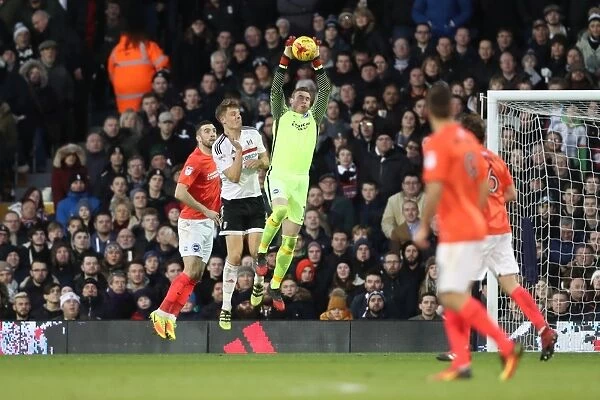 Brighton and Hove Albion vs Fulham: EFL Sky Bet Championship Clash at Craven Cottage (02JAN17)