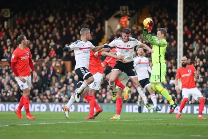 Framed Print : Brighton and Hove Albion vs. Fulham: EFL Sky Bet Championship Showdown at Craven Cottage (02.01.17) Framed Print : Brighton and Hove Albion vs. Fulham: EFL Sky Bet Championship Showdown at Craven Cottage (02.01.17)
