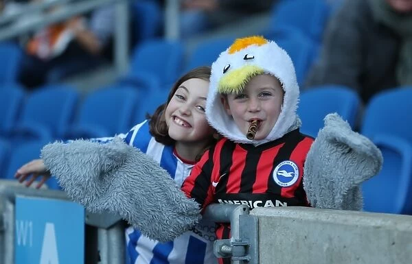 Brighton and Hove Albion vs Fulham: Passionate Fan Moment at American Express Community Stadium (29NOV14)