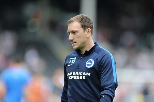 Brighton and Hove Albion vs Fulham: Sky Bet Championship Clash at Craven Cottage (15.08.2015)