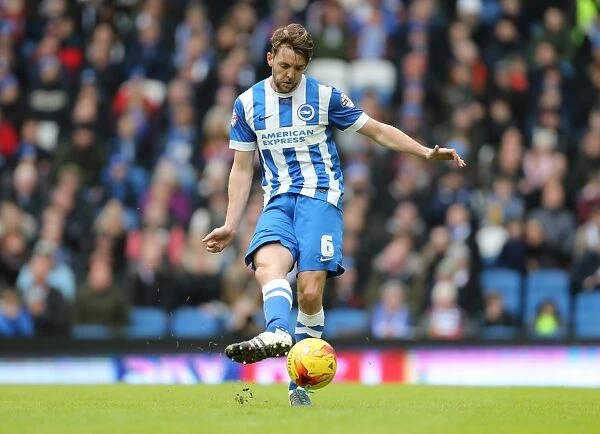 Brighton and Hove Albion vs. Huddersfield Town: Sky Bet Championship Showdown at American Express Community Stadium (January 23, 2016)