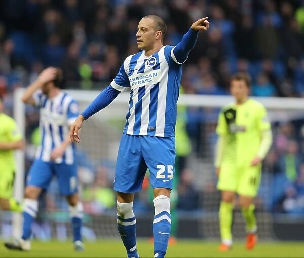 Brighton and Hove Albion vs. Huddersfield Town: A Sky Bet Championship Battle (23 January 2016)