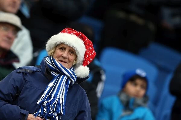Brighton & Hove Albion vs. Huddersfield Town: Home Game (December 2013)