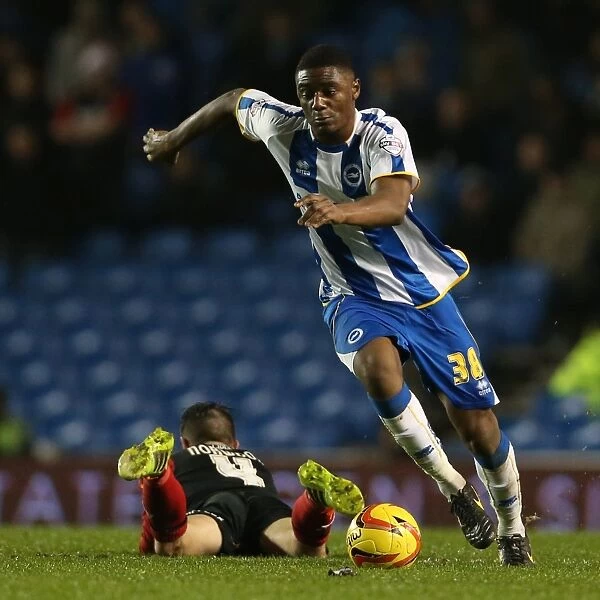Brighton & Hove Albion vs. Huddersfield Town (21-12-2013) - A Home Game from the 2013-14 Season
