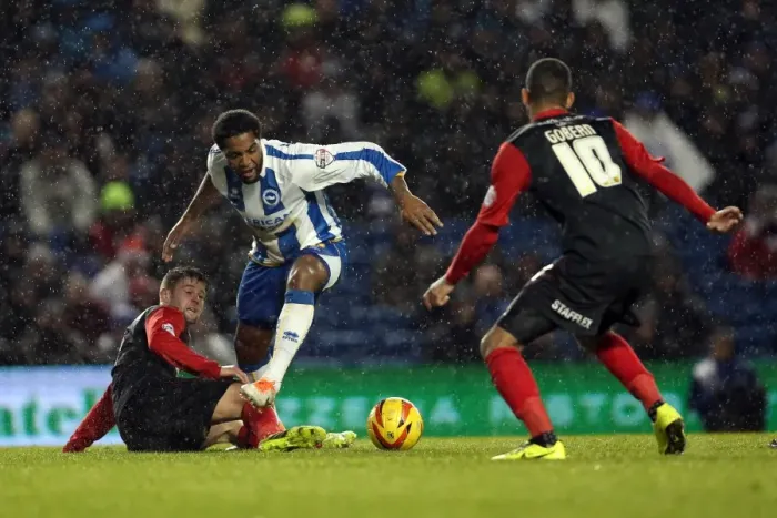 Framed Print : Brighton & Hove Albion vs. Huddersfield Town: Home Game - December 21, 2013 (Season 2013-14) Framed Print : Brighton & Hove Albion vs. Huddersfield Town: Home Game - December 21, 2013 (Season 2013-14)