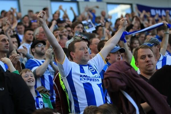 Brighton and Hove Albion vs Hull City: Electric Atmosphere in the Stands during Sky Bet Championship Match, September 2015