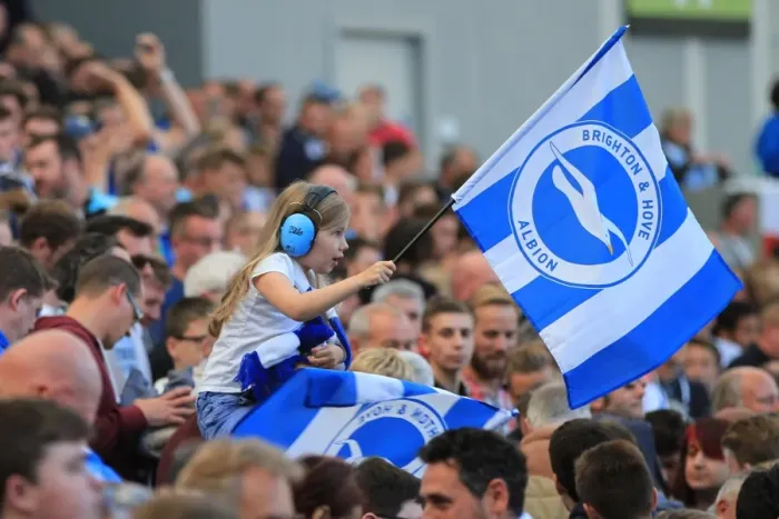 Framed Print : Brighton and Hove Albion vs Hull City: Electric Fan Atmosphere at the American Express Community Stadium (September 2015) Framed Print : Brighton and Hove Albion vs Hull City: Electric Fan Atmosphere at the American Express Community Stadium (September 2015)