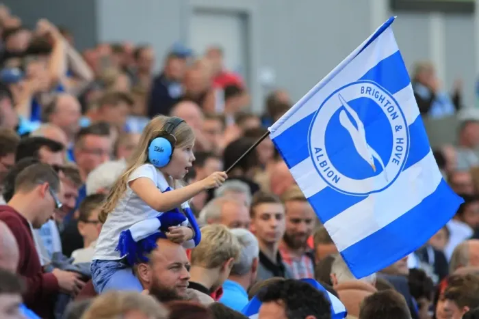 Framed Print : Brighton and Hove Albion vs Hull City: Electric Atmosphere in the Stands during the Sky Bet Championship Match (12th September 2015) Framed Print : Brighton and Hove Albion vs Hull City: Electric Atmosphere in the Stands during the Sky Bet Championship Match (12th September 2015)