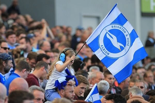 Brighton and Hove Albion vs Hull City: A Sea of Passionate Fans during the Sky Bet Championship Match, September 2015