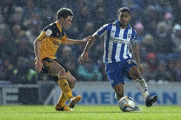 Brighton & Hove Albion vs. Hull City (2012-13): A Nostalgic Look Back at the 09-02-2013 Home Game