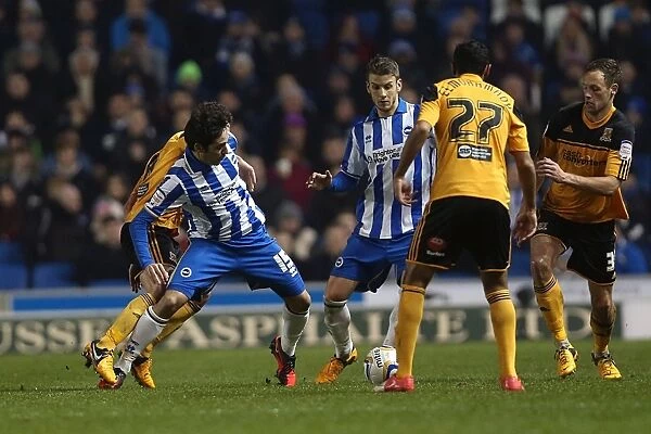 Brighton & Hove Albion vs. Hull City (2012-13 Season): A Nostalgic Look Back at Our Past Home Game - 09-02-2013