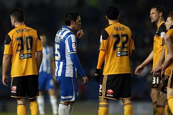 Brighton & Hove Albion vs. Hull City (2012-13 Season): A Glance at Our Past Home Game