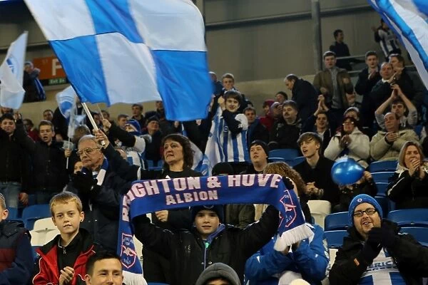 Brighton & Hove Albion vs. Hull City: 2013-14 Season Home Game (February 17, 2014)