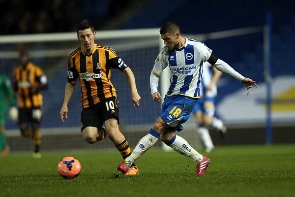 Brighton & Hove Albion vs. Hull City: 2013-14 Season Home Game (February 17, 2014)