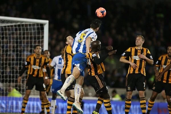 Brighton & Hove Albion vs. Hull City: 2013-14 Season Home Game