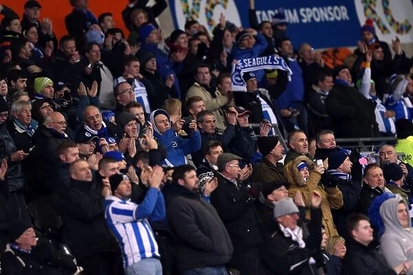 Brighton & Hove Albion vs. Hull City (Away): February 24, 2014