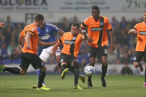 Brighton & Hove Albion vs Ipswich Town: 16 September 2014 (Away Game)