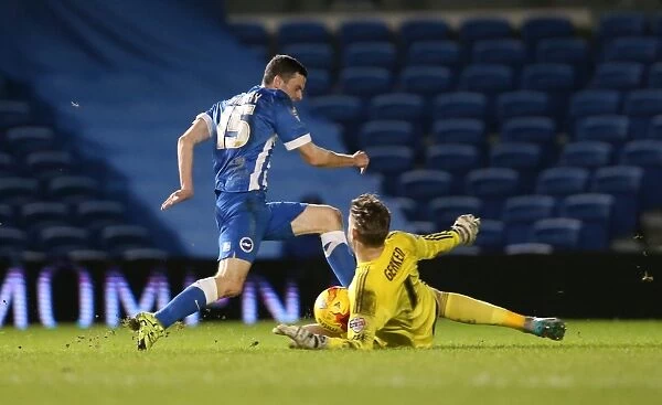 Brighton and Hove Albion vs. Ipswich Town: A Championship Battle at American Express Community Stadium (29DEC15)