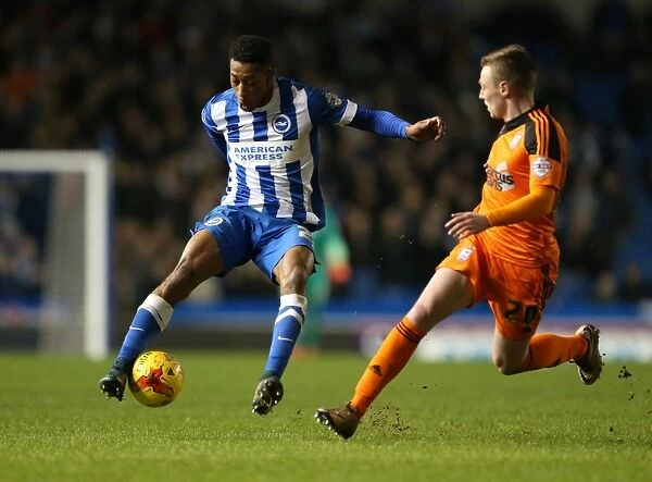 Brighton and Hove Albion vs Ipswich Town: A Championship Battle at the American Express Community Stadium (29DEC15)