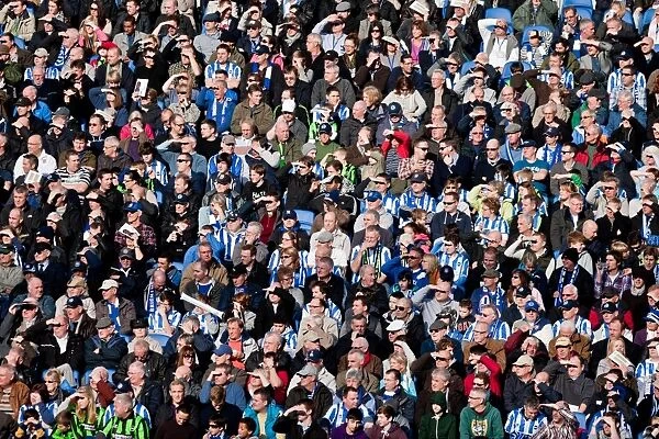Brighton & Hove Albion vs Ipswich Town (25-12-2012) - A Look Back at the 2011-12 Home Season