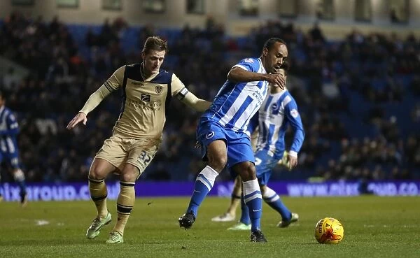 Brighton & Hove Albion vs Leeds United: Chris O'Grady's Action-Packed Performance, 24 February 2015