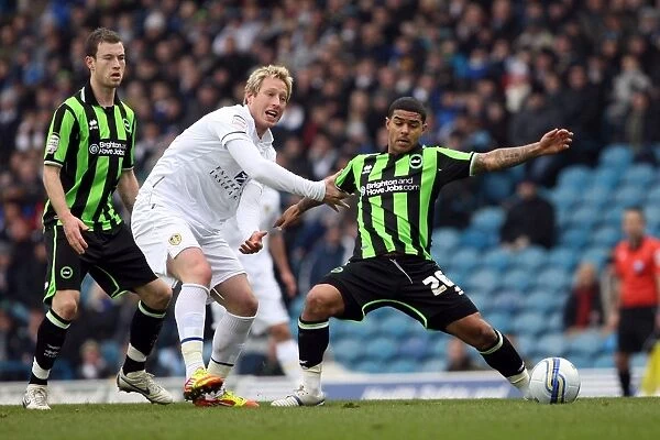 Brighton & Hove Albion vs. Leeds United: 2011-12 Away Game Highlights