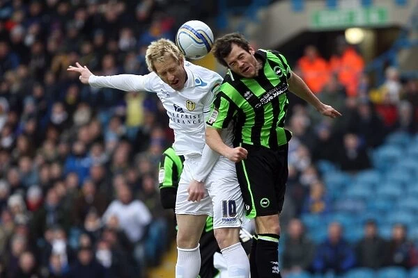 Brighton & Hove Albion vs. Leeds United: 2011-12 Season - February Away Game Highlights