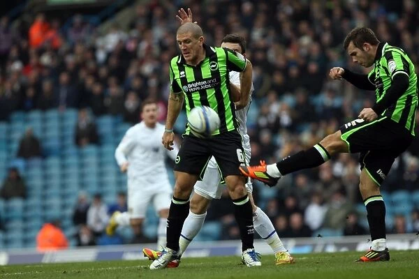 Brighton & Hove Albion vs. Leeds United: 2011-12 Away Game Highlights