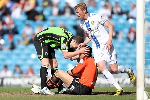 Brighton & Hove Albion vs Leeds United: 2012-13 Away Game