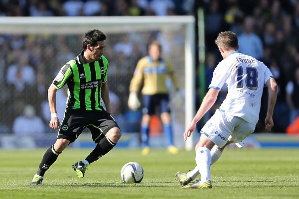Brighton & Hove Albion vs. Leeds United: 2012-13 Away Game