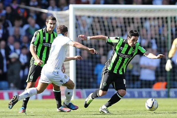 Brighton & Hove Albion vs. Leeds United: A Battle from the 2012-13 Season (Away Game)