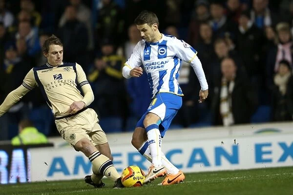 Brighton & Hove Albion vs. Leeds United: 11-02-2014 - A Memorable Home Game from the 2013-14 Season