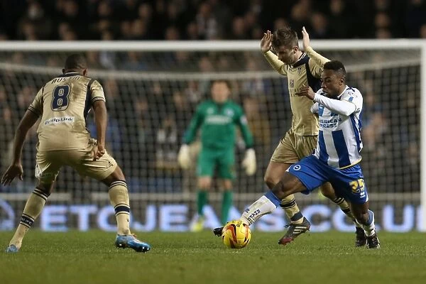 Brighton & Hove Albion vs Leeds United: A Historic 11-2-2014 Home Game from the 2013-14 Season
