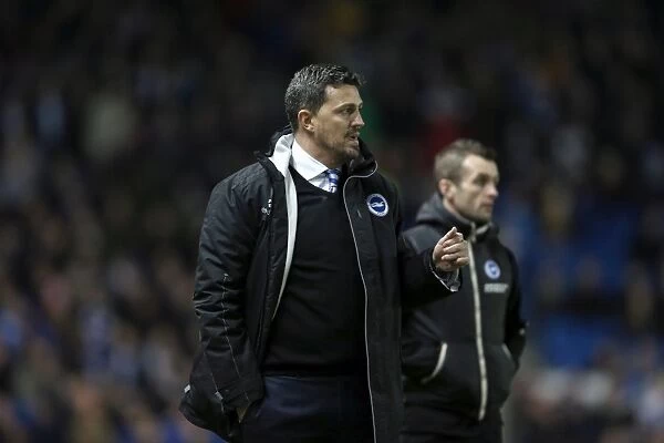 Brighton & Hove Albion vs Leeds United: A Historic 11-2-2014 Home Game from the 2013-14 Season