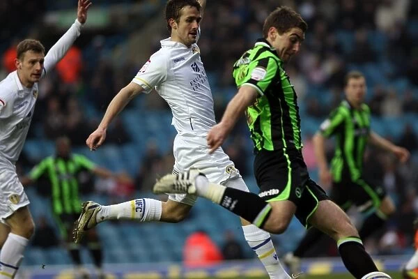 Brighton & Hove Albion vs. Leeds United (Away): 11-02-12 - 2011-12 Season: Away Game Highlights