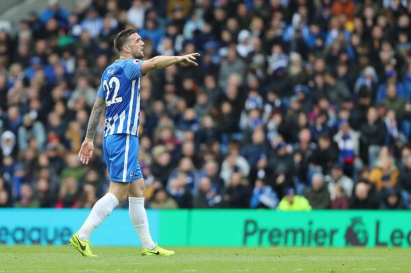 Brighton and Hove Albion vs. Leicester City: Premier League Battle at American Express Community Stadium (31MAR18)
