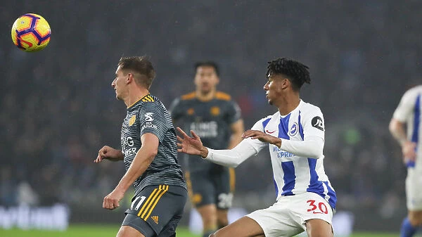 Brighton and Hove Albion vs. Leicester City: Premier League Battle at American Express Community Stadium (November 2018)