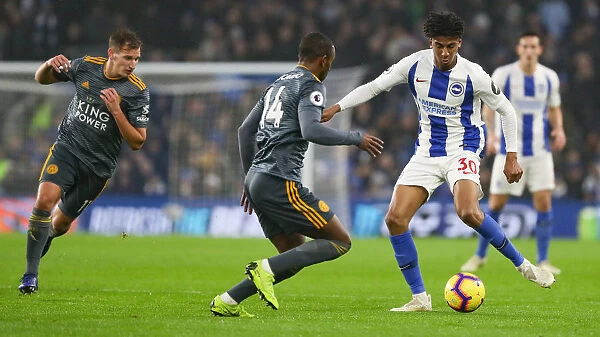 Brighton and Hove Albion vs. Leicester City: Premier League Battle at American Express Community Stadium (November 24, 2018)