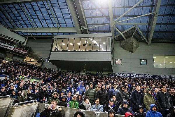 Brighton and Hove Albion vs. Leicester City: Premier League Showdown at American Express Community Stadium (November 2018)