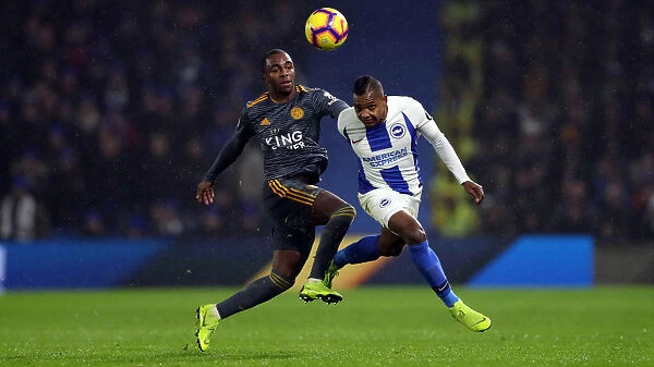 Brighton and Hove Albion vs. Leicester City: A Premier League Showdown at American Express Community Stadium (November 24, 2018)