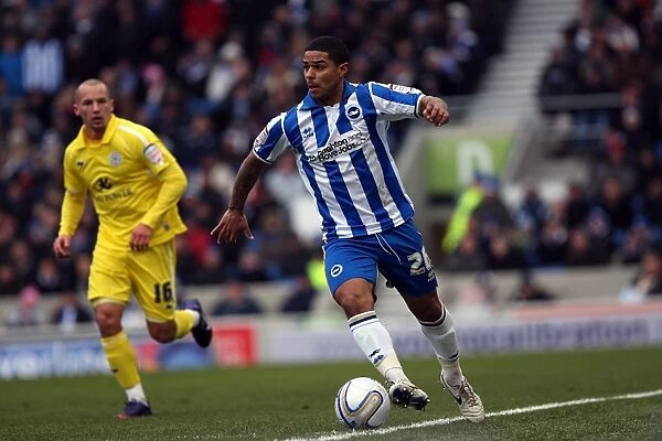 Brighton & Hove Albion vs. Leicester City (4-2-12): A Look Back at the 2011-12 Season Home Game