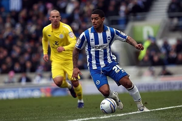 Brighton & Hove Albion vs. Leicester City (04-02-12): A Glimpse into Our 2011-12 Home Season