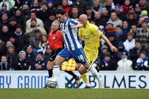 Brighton & Hove Albion vs. Leicester City (04-02-12): A Look Back at Our 2011-12 Home Season - Leicester City Match