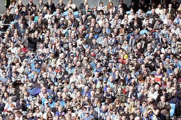 Brighton & Hove Albion vs. Leicester City: A 2012-13 Home Game