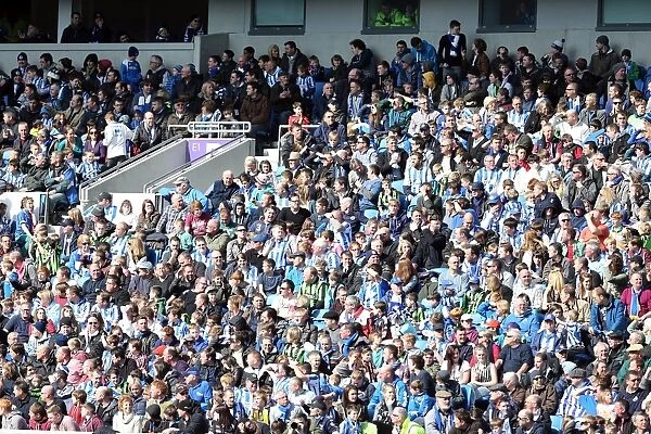 Brighton & Hove Albion vs. Leicester City (2012-13 Season): A Past Home Game