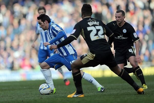 Brighton & Hove Albion vs. Leicester City (06-04-2013): A Glance at Our Past - 2012-13 Home Game