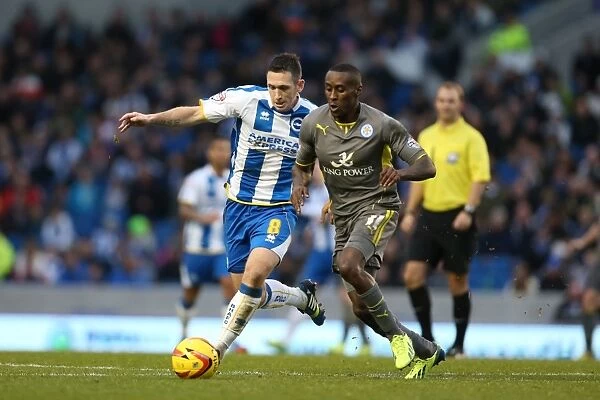 Brighton & Hove Albion vs. Leicester City: A Home Victory on 7 December 2013 (2013-14 Season)
