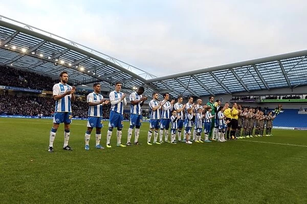Brighton & Hove Albion vs. Leicester City (2013-14 Season): A Home Game - 7 December 2013