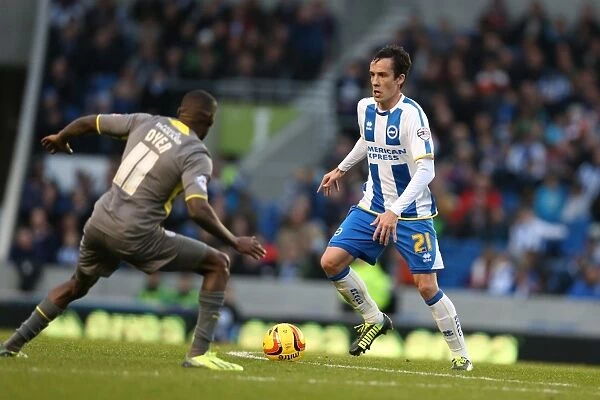 Brighton & Hove Albion vs. Leicester City (07-12-2013): A Home Game from the 2013-14 Season